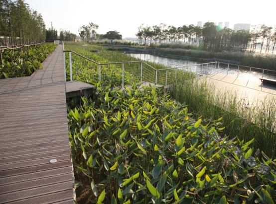 2019-1-3裕隆環(huán)境網站修改1388