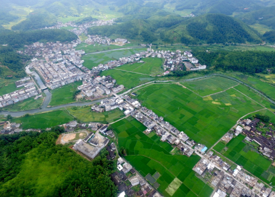 2019-1-3裕隆環境網站修改1760